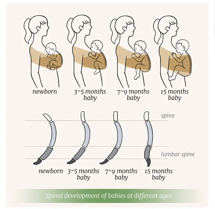 Porte-bébé sans nœud en coton doux 0-36 mois