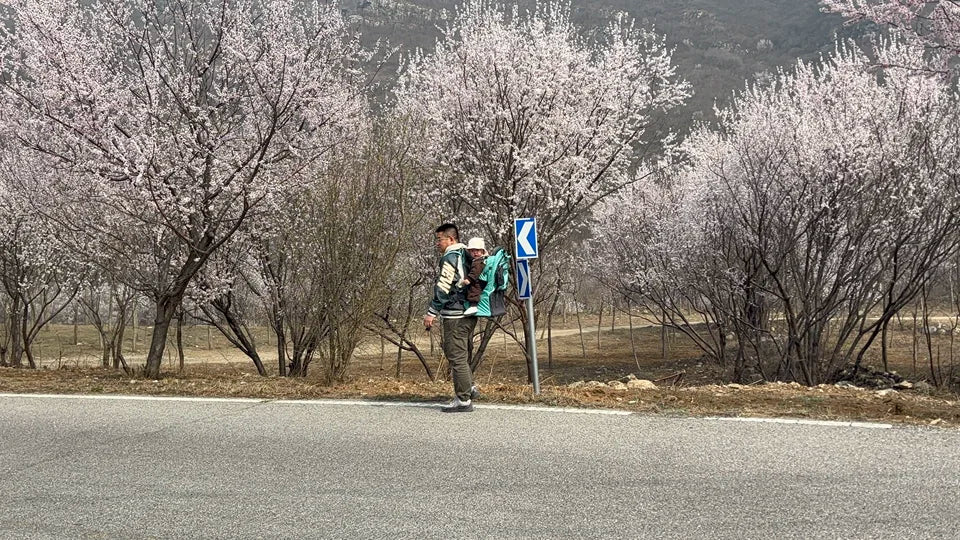 Sac à dos porte-bébé de randonnée léger en mesh aéré